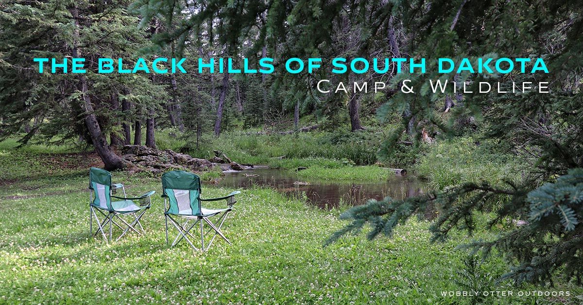 black hills camp - Ditch Creek Campground