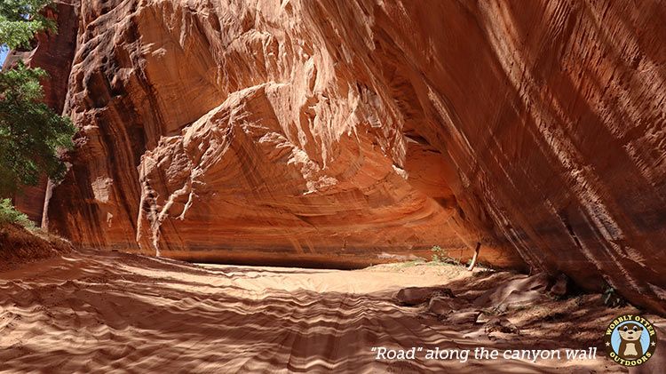 road along canyon wall