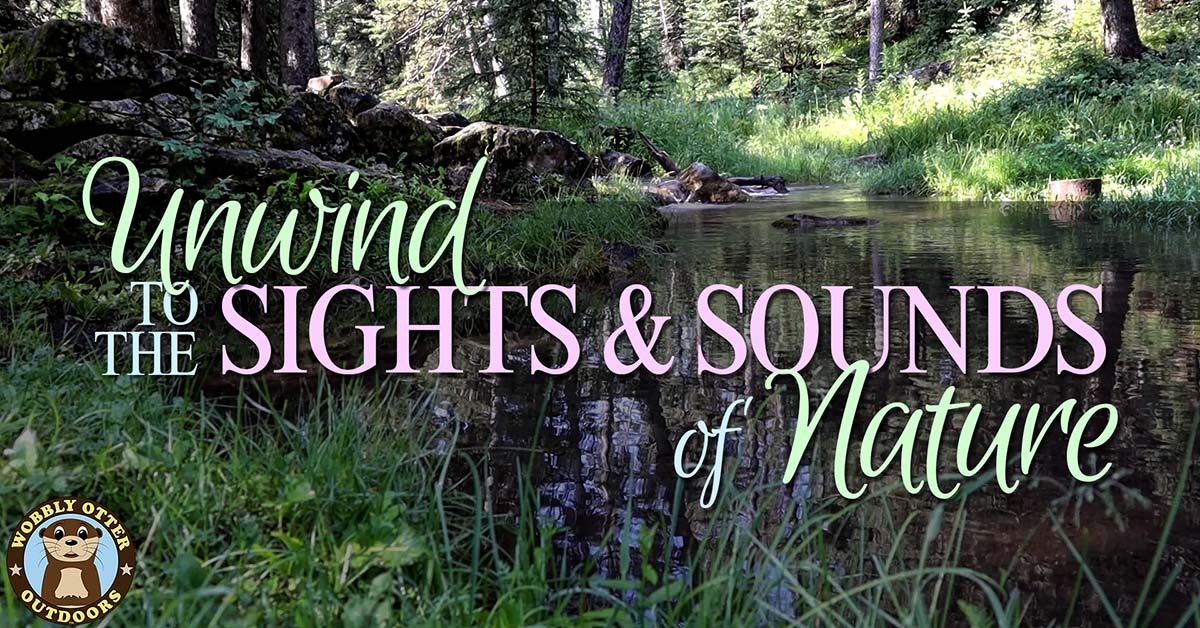 unwind to the outdoor sights and sounds of nature