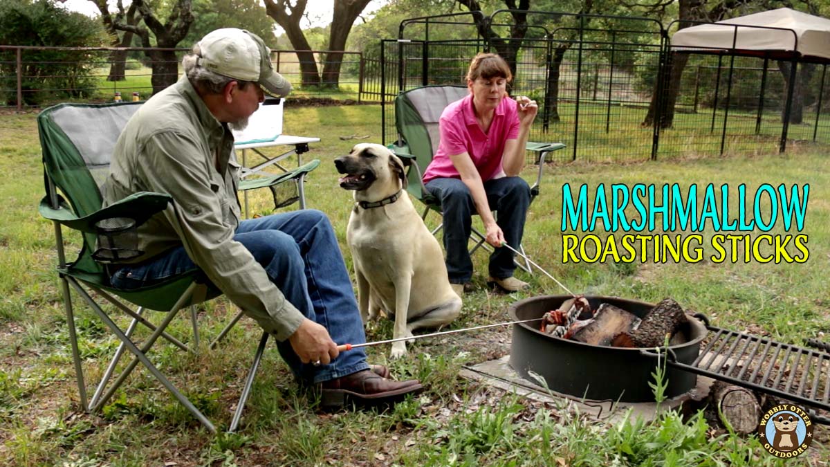 Bill, Viva and Cris at campfire with marshmallow roasting sticks