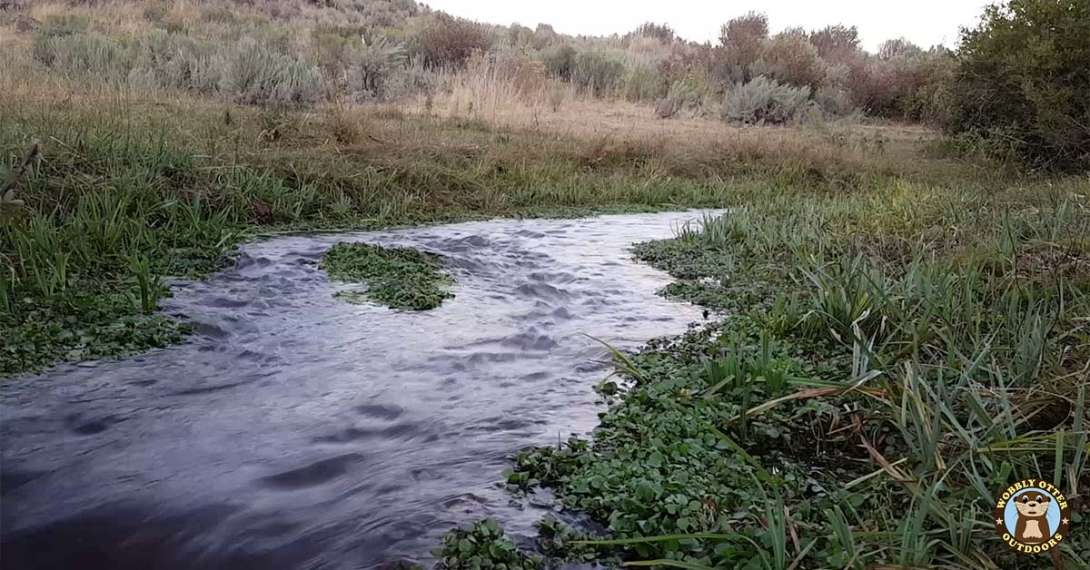 Sublett Creek in Sawtooth National Forest