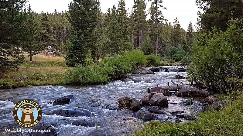 Little Goose Creek, Bighorn National Forest, Wyoming