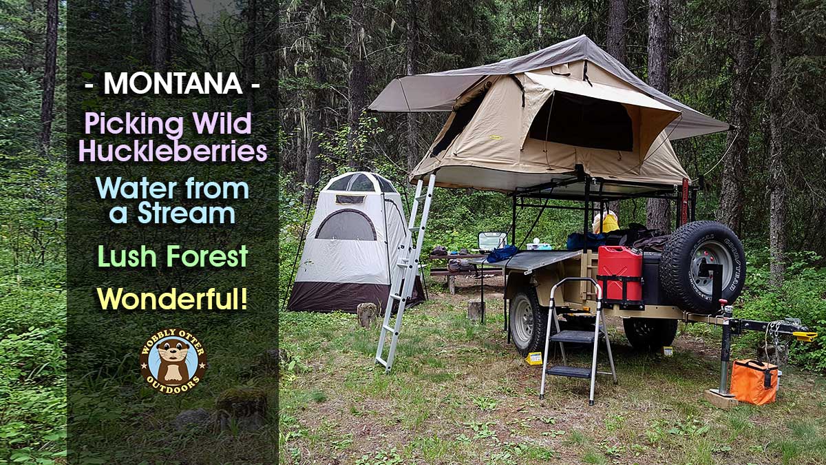 Gold Rush Campground, Lolo National Forest, Montana