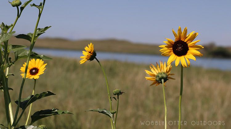 nebraska crescent lake natl wildlife refuge