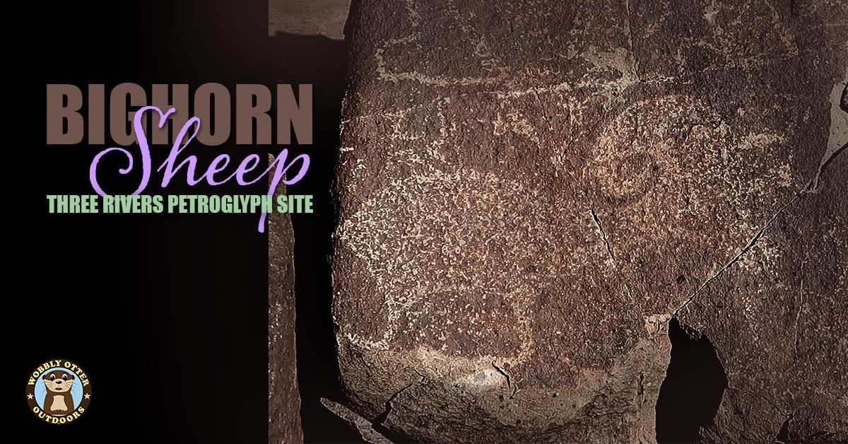 Three Rivers Petroglyphs Site - Bighorn Sheep