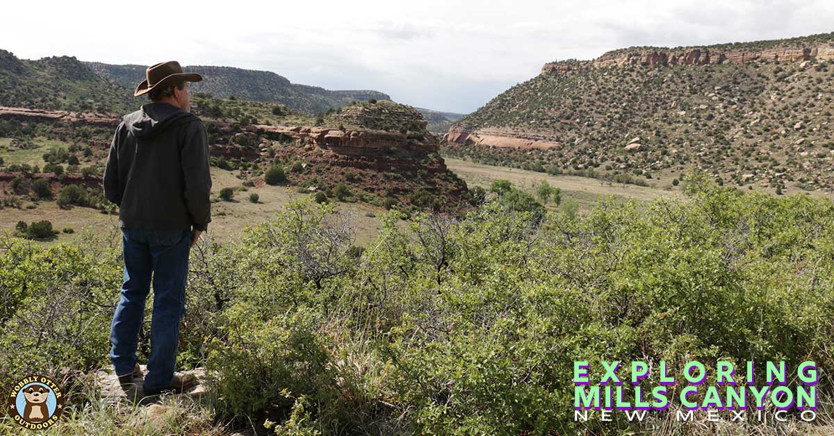 Bill Viewing Mills Canyon