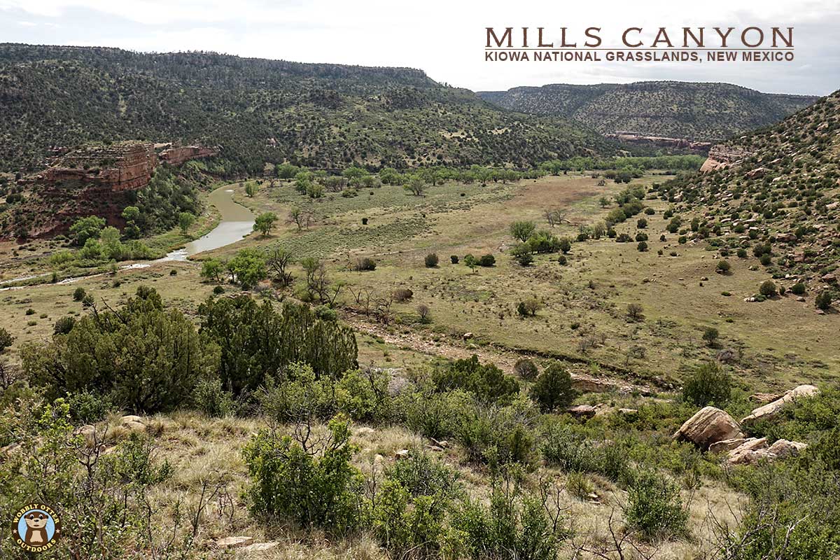 Mills Canyon in the Kiowa National Grasslands of New Mexico