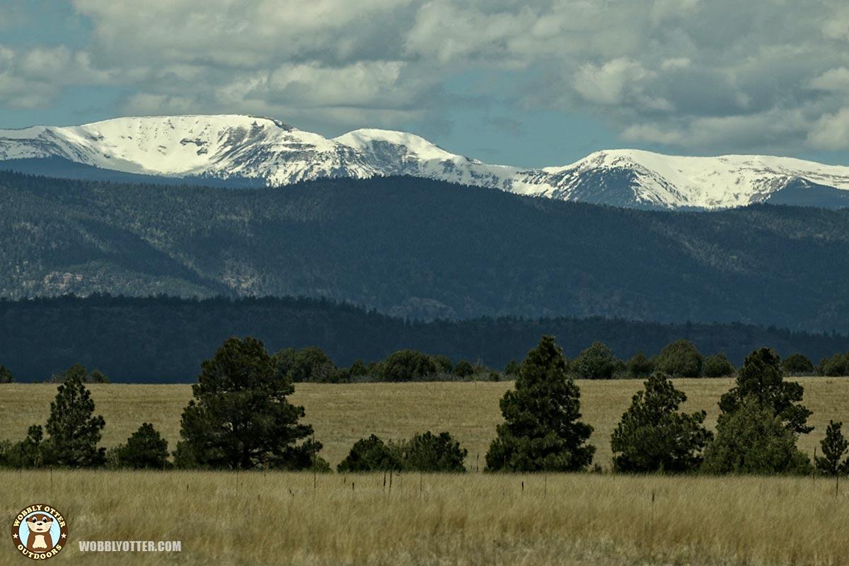 Mountains of the Pecos Wilderness