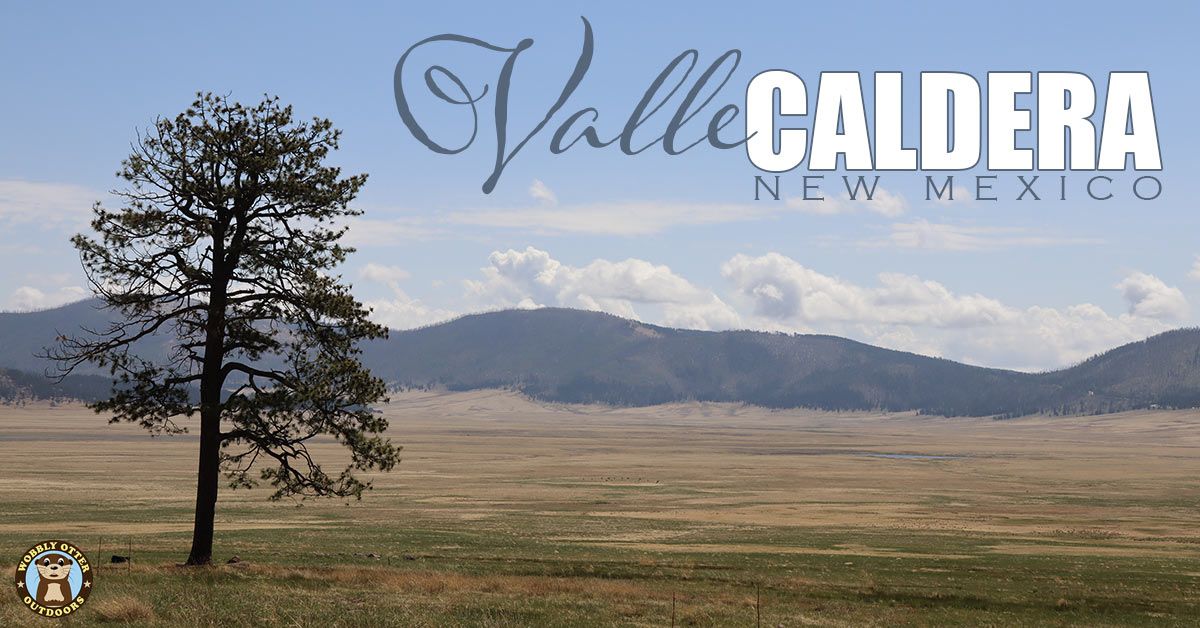 Valles Caldera National Preserve