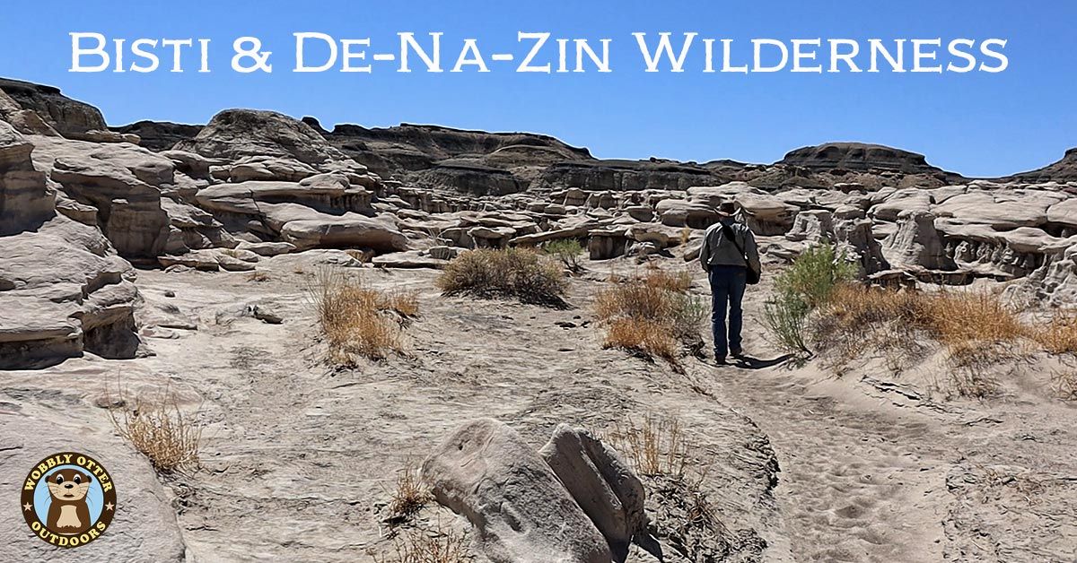 Bisti and De-Na-Zin Wildernes of New Mexico