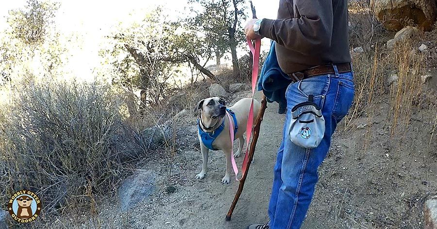 Viva listens - Pine Tree Loop Trail, Organ Mountains