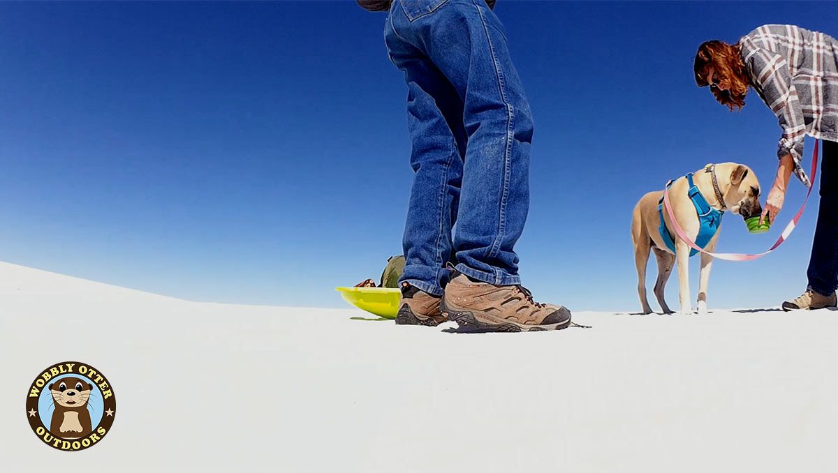 Water for the dog at White Sands National Monument