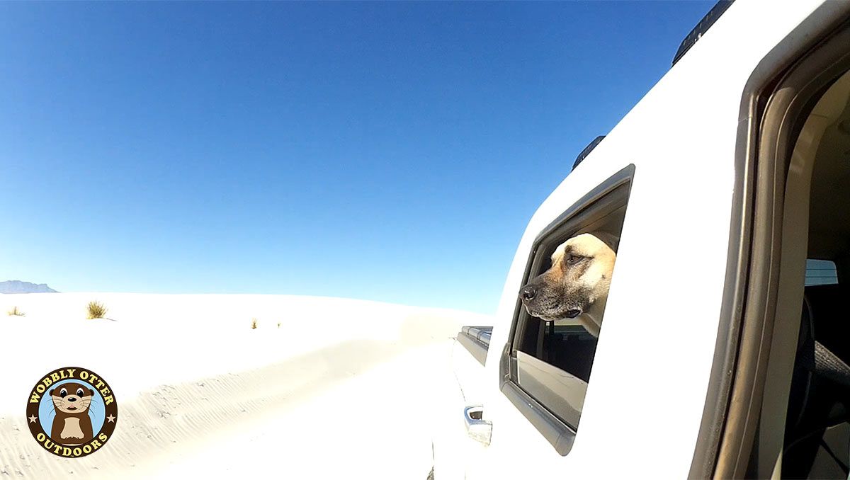 Viva Watches Out The Window - White Sands National Monument