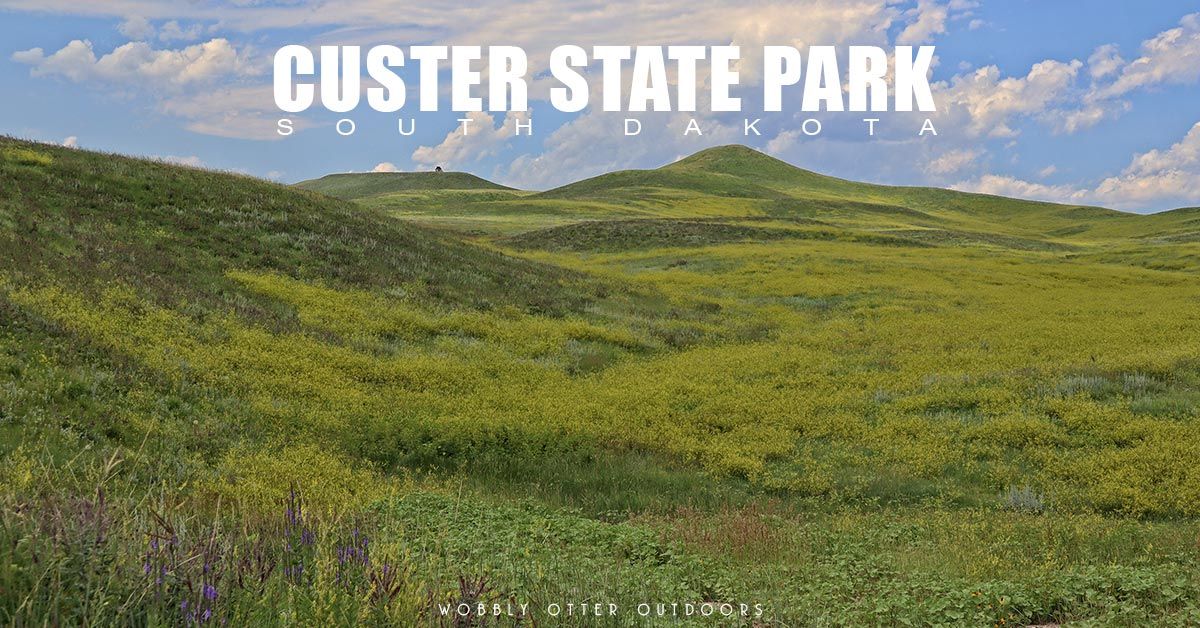 Custer State Park, Black Hills of South Dakota