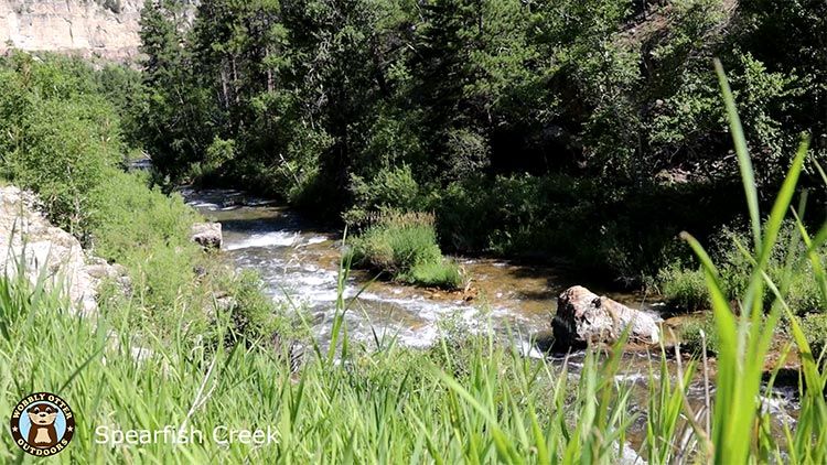 spearfish creek along canyon road