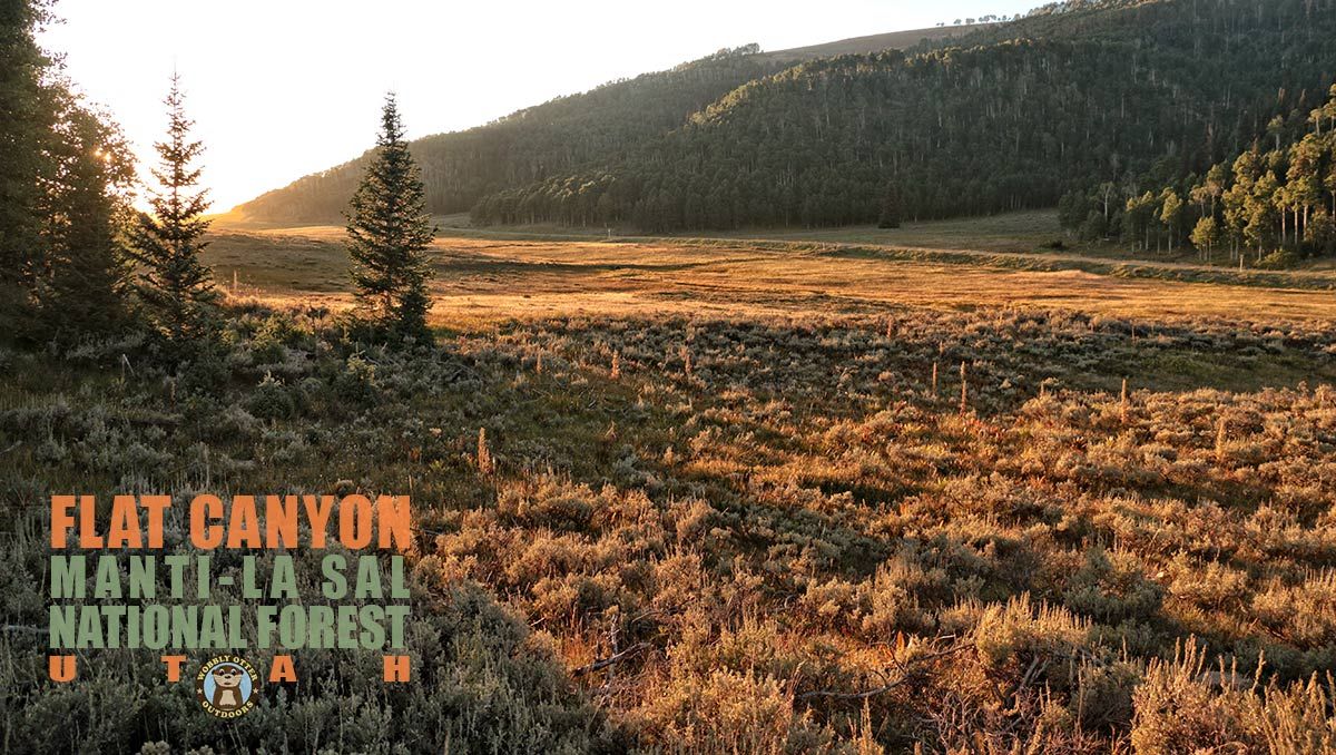  Flat Canyon, Manti-La Sal National Park, Utah