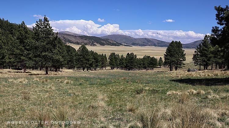 Caldera Meadow