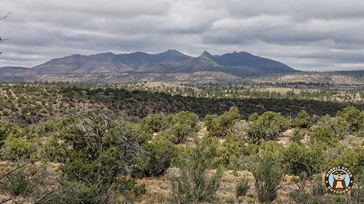 Distant Mountains