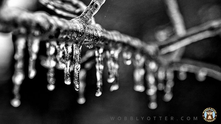 Icicles